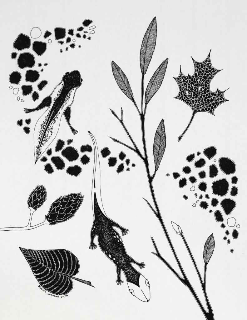 sans-bleed_Emilie-Garant_Nature-été-2018